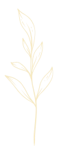 Leaf illustration